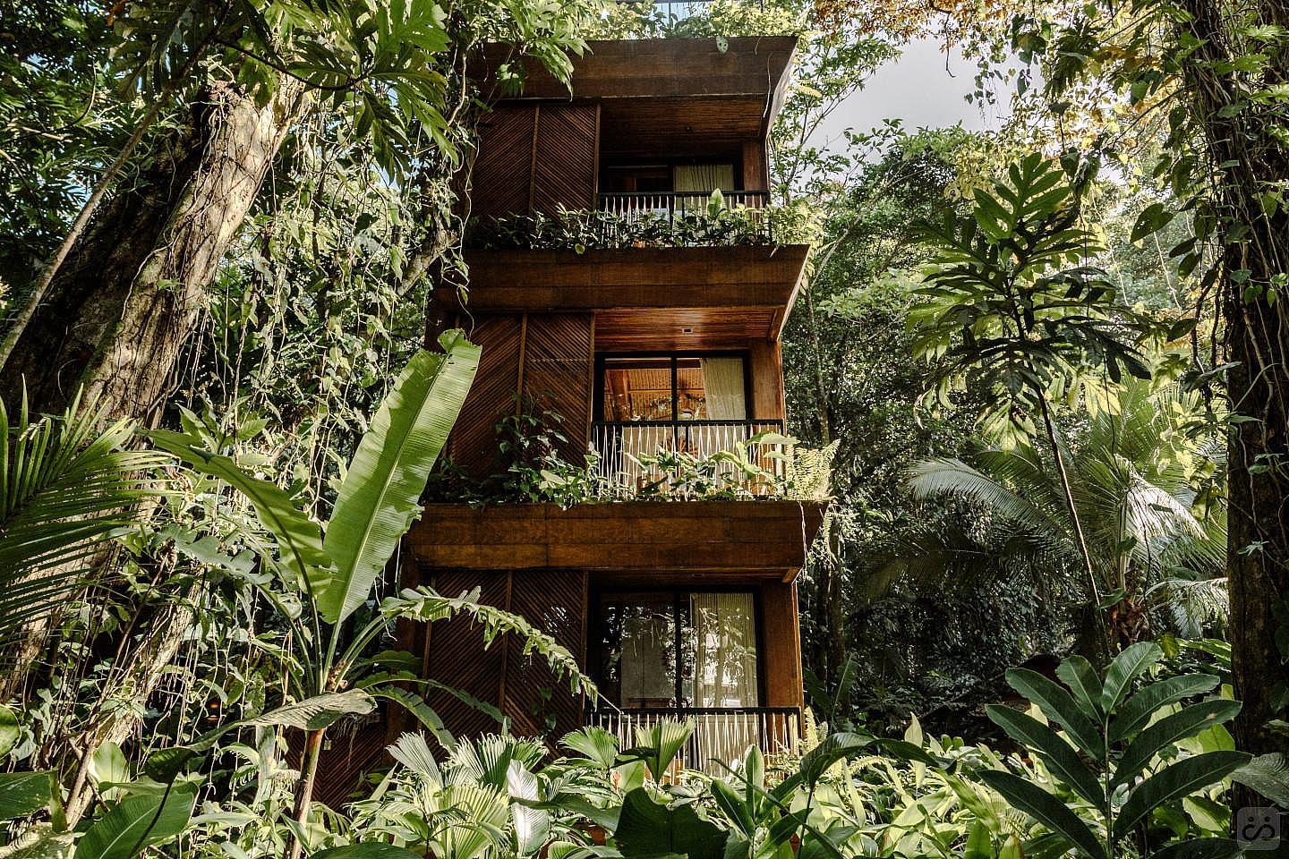 Jungle Immersion With AC - 4