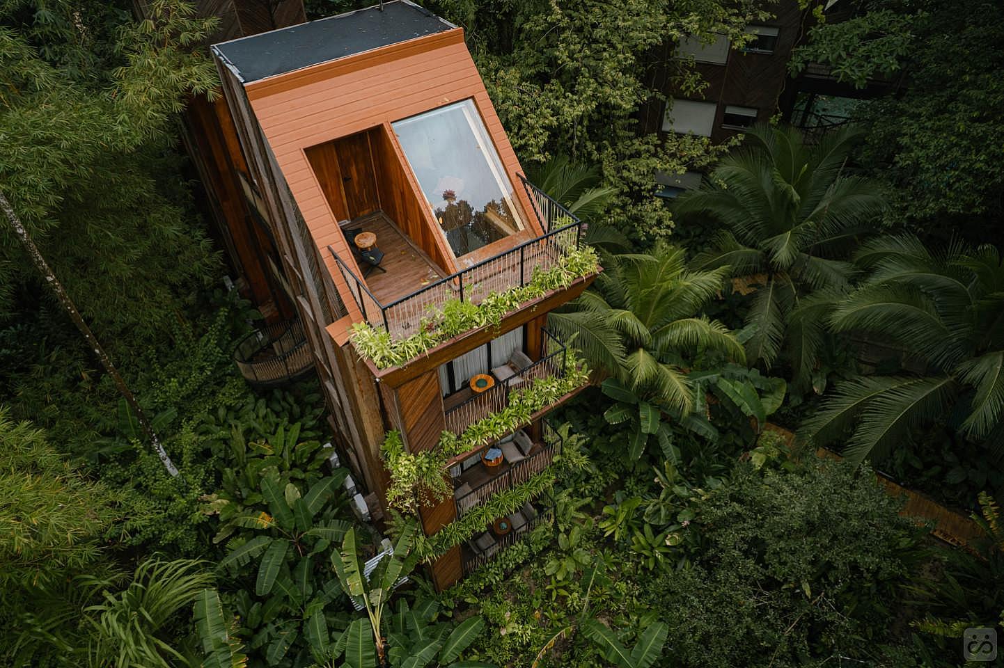 Rooftop Terrace Jungle Immerssion With AC - 7