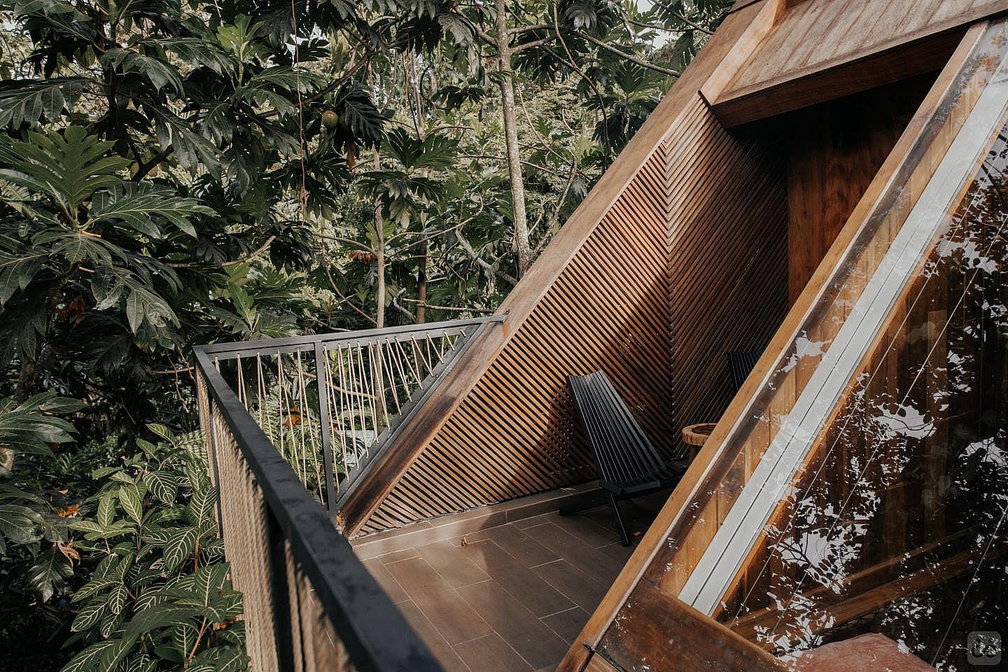 Rooftop Terrace Jungle Immerssion With AC - 3