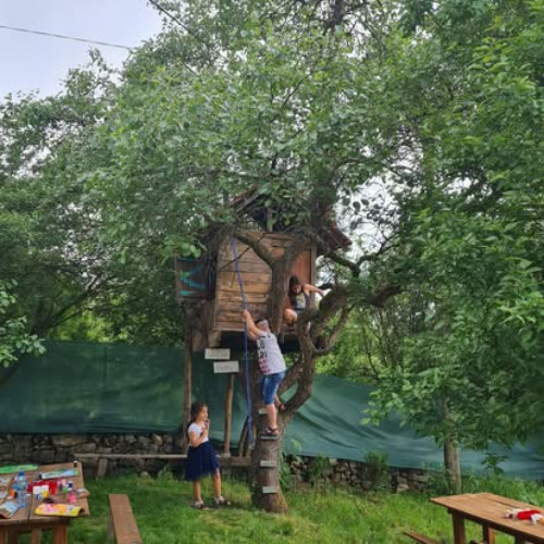 Vladimir Village Home - Gallery - 52