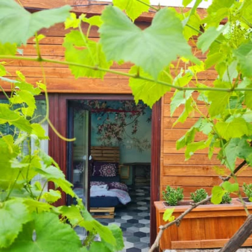 Vladimir Village Home - Gallery - 55