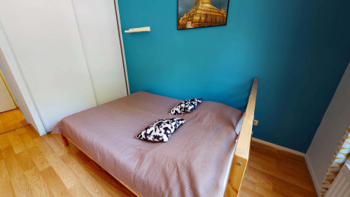Room in Rue Paul Cazeneuve, Lyon for 76 m² with 4 bedrooms