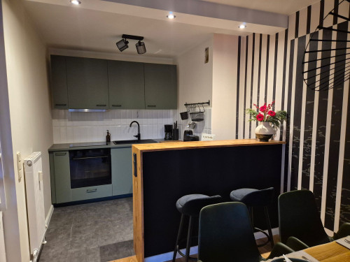 Beautiful & stylishly furnished business apartment near the Elbe - Gallery - 5