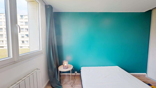 Room in Rue du Docteur Albéric Pont, Lyon for 64 m² with 4 bedrooms
