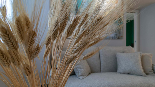Casa Malù - Gallery - 2