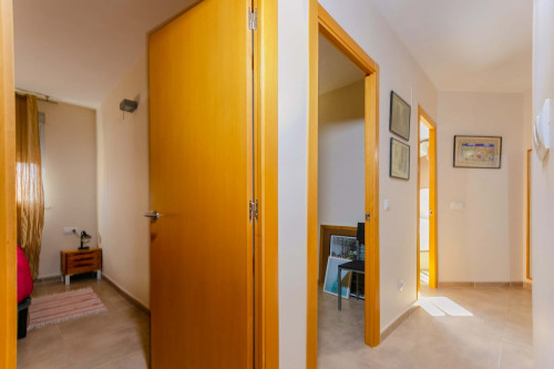 Calle Paco Pierra - Gallery - 13