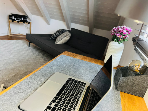 Stylish home in western Munich - with a small sauna and a fireplace - Gallery - 12
