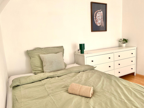 Beautiful apartment in Straubing - Gallery - 9