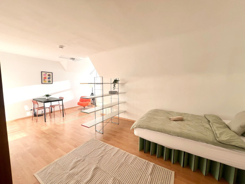 Beautiful apartment in Straubing - Gallery - 11