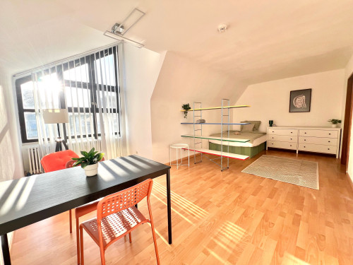 Beautiful apartment in Straubing - Gallery - 16