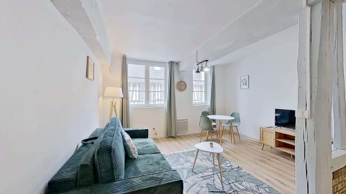 Apartment in Rue Saint-Hilaire, Rouen for 27 m² with 1 bedroom - Gallery - 4