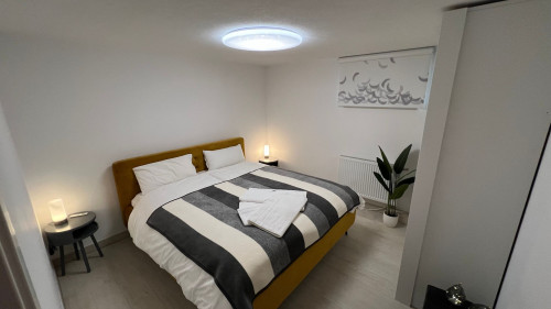 Spacious Holiday Apartment in Dresden-Altfranken – Quiet Location and Perfect Connections - Gallery - 27