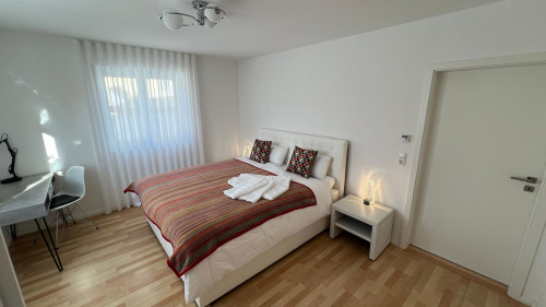 Spacious Holiday Apartment in Dresden-Altfranken – Quiet Location and Perfect Connections