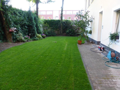 2 Bedroom-Apartment in Essen-Center - Gallery - 8