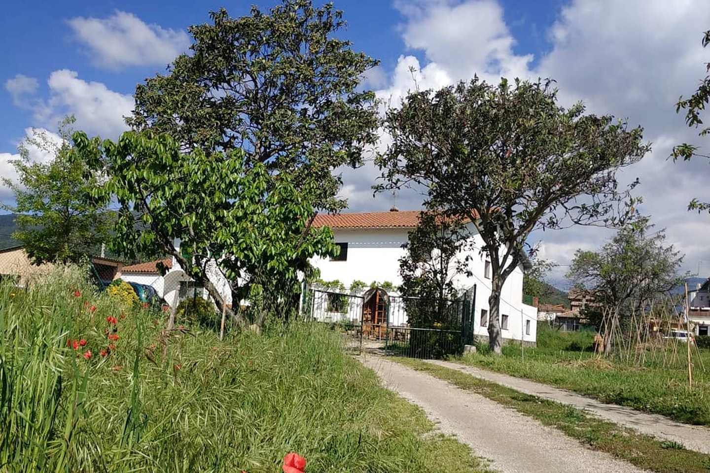 Diseminado Afores Residence