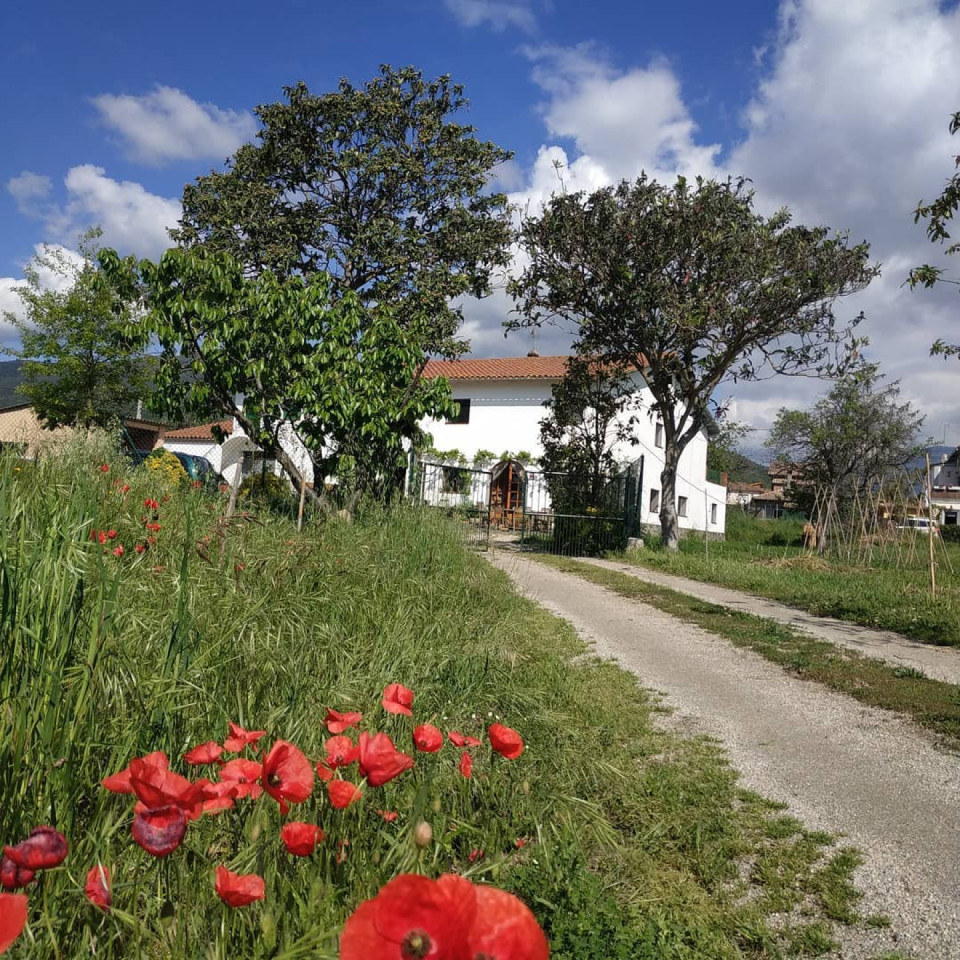Creative Rural House w/ Coworking