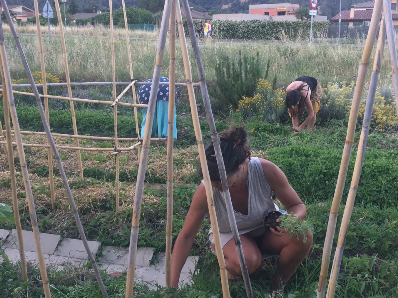 Creative Rural House w/ Coworking