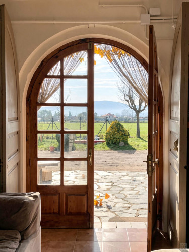 Diseminado Afores Residence - Gallery - 39