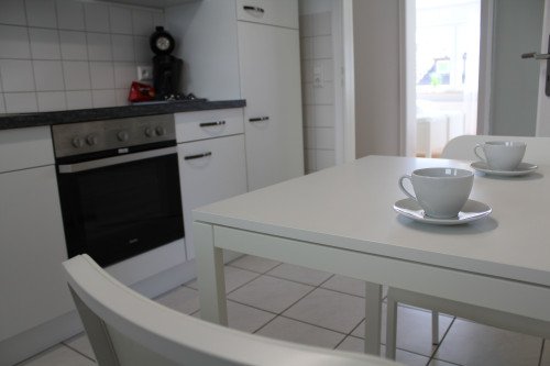 Wonderful, bright loft in Birkenfeld between Stuttgart and Karlsruhe - Gallery - 7