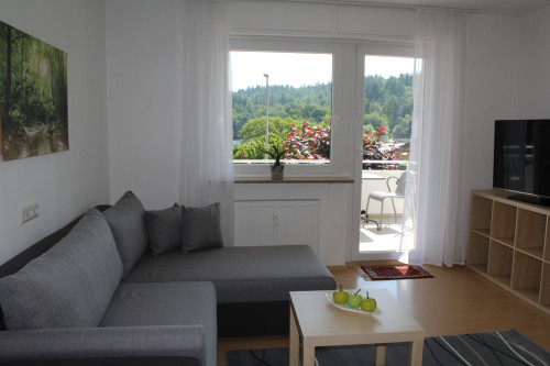 Wonderful, bright loft in Birkenfeld between Stuttgart and Karlsruhe - Gallery - 2