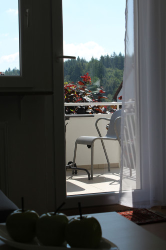 Wonderful, bright loft in Birkenfeld between Stuttgart and Karlsruhe - Gallery - 4
