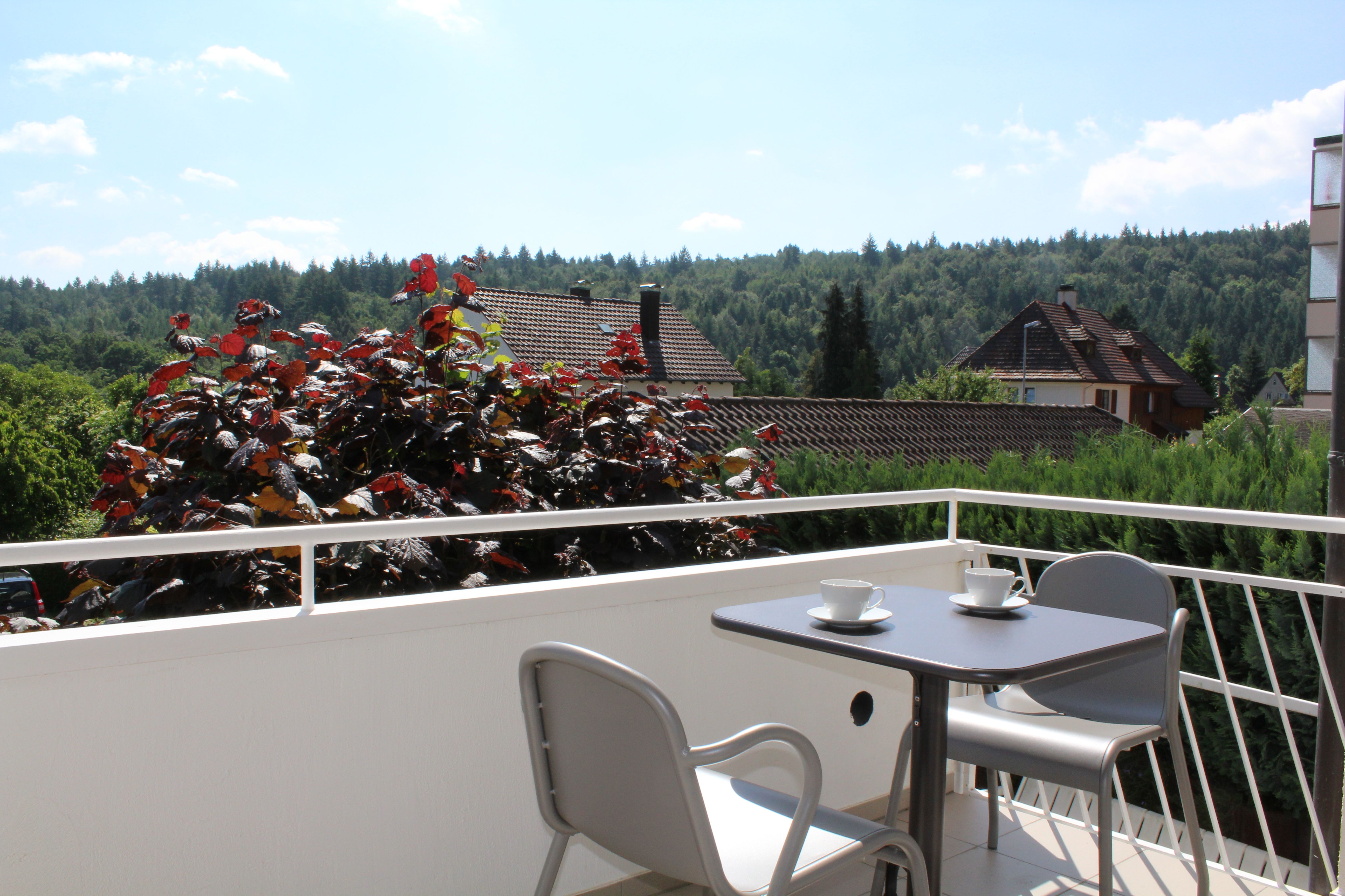 Wonderful, Bright Loft In Birkenfeld Between Stuttgart And Karlsruhe - 7