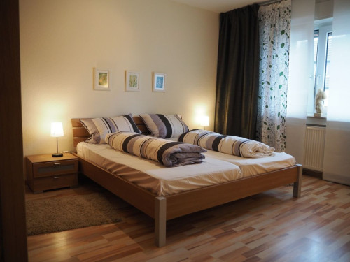 Bright and high quality furnished home in Leverkusen - Gallery - 14