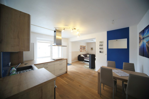 Well-equipped centrally located apartment