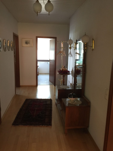 Furnished 3-room apartment with large terrace, Colmdorf/Am Eichelberg - Gallery - 6