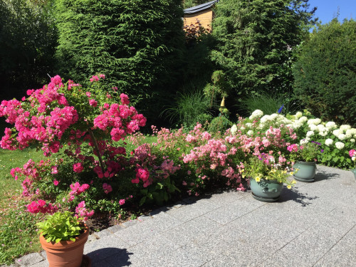 Furnished 3-room apartment with large terrace, Colmdorf/Am Eichelberg - Gallery - 5