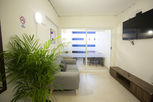 Tonalá Collective - Gallery - 48