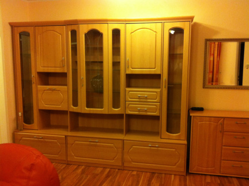 Cosily furnished 1-bedroom apartment near the University (Kaiserslautern), available from 01.09.2025 - Gallery - 2