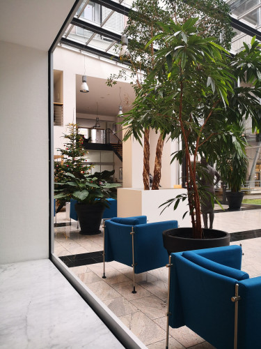 Tiny house apartment in Stuttgart South, next to Marienhospital and Erwin Schöttle platz - Gallery - 3