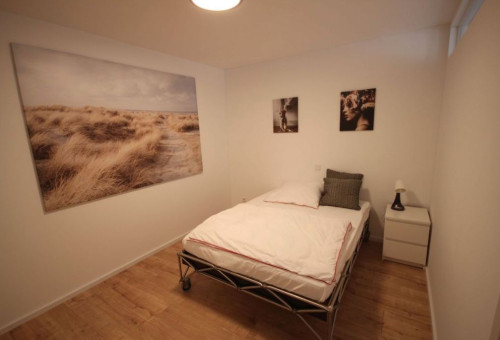 Quiet, new suite in nice area - Gallery - 3