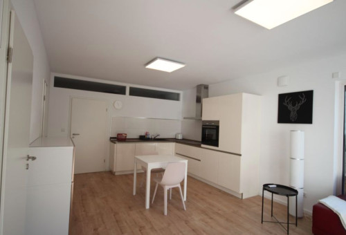 Quiet, new suite in nice area - Gallery - 5