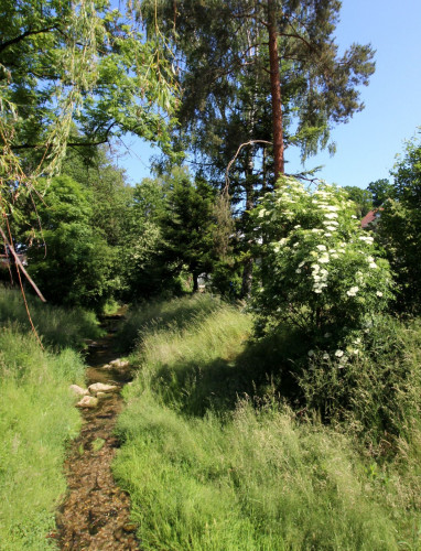 cosy eclectic furnished garden oasis in the south of the beautiful city of Landshut - Gallery - 5