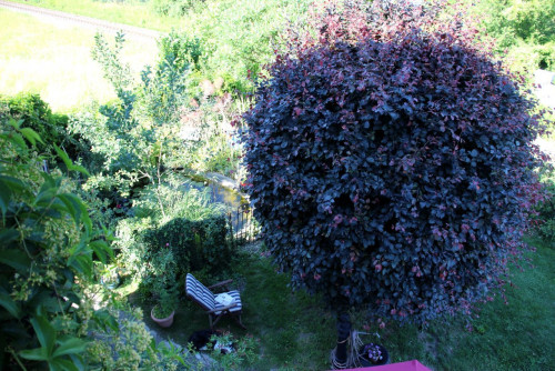 cosy eclectic furnished garden oasis in the south of the beautiful city of Landshut - Gallery - 15