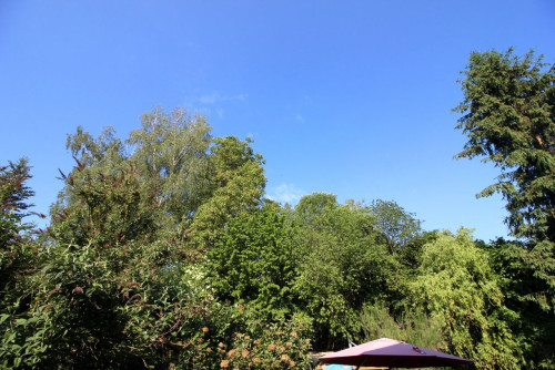 cosy eclectic furnished garden oasis in the south of the beautiful city of Landshut - Gallery - 13