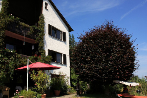 cosy eclectic furnished garden oasis in the south of the beautiful city of Landshut - Gallery - 9