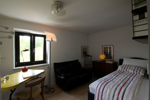 cosy eclectic furnished garden oasis in the south of the beautiful city of Landshut - Gallery - 22