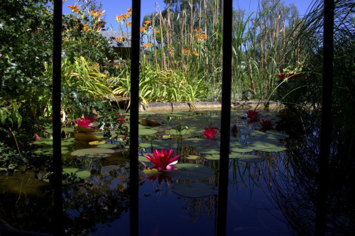 cosy eclectic furnished garden oasis in the south of the beautiful city of Landshut - Gallery - 20