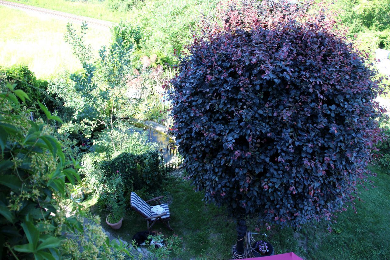 Cosy Eclectic Furnished Garden Oasis In The South Of The Beautiful City Of Landshut - 14