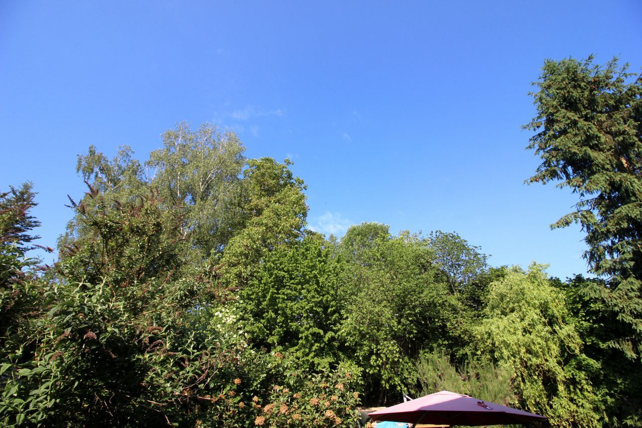 Cosy Eclectic Furnished Garden Oasis In The South Of The Beautiful City Of Landshut - 12