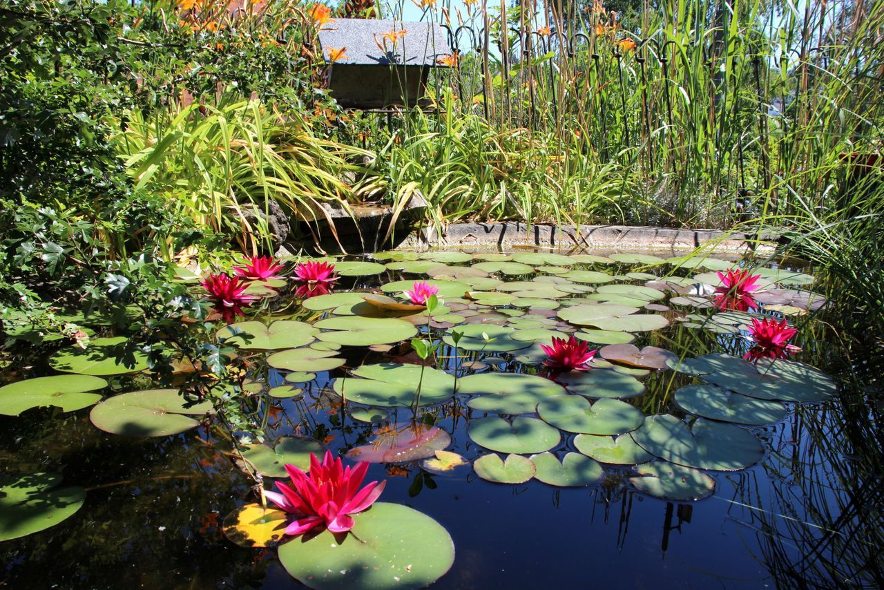 Cosy Eclectic Furnished Garden Oasis In The South Of The Beautiful City Of Landshut - 15