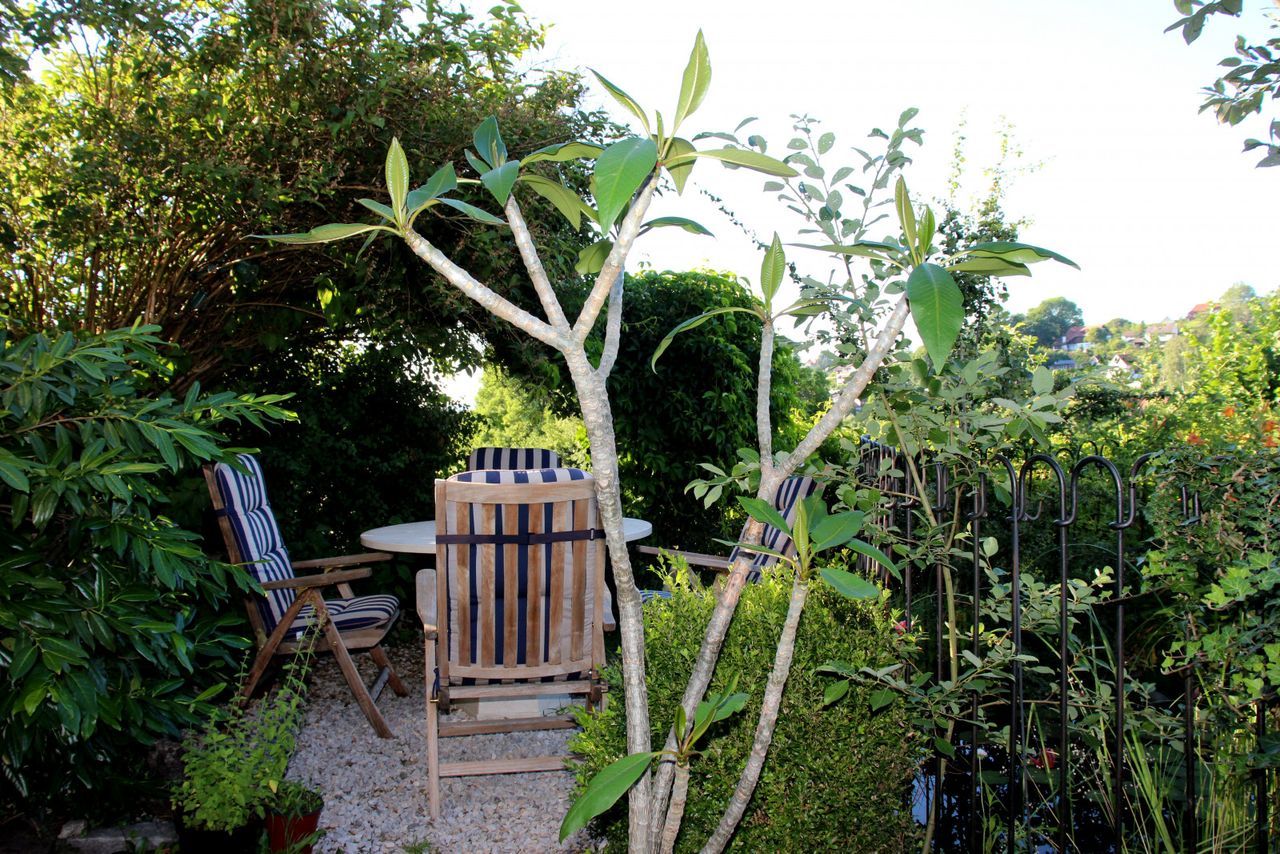 Cosy Eclectic Furnished Garden Oasis In The South Of The Beautiful City Of Landshut - 13
