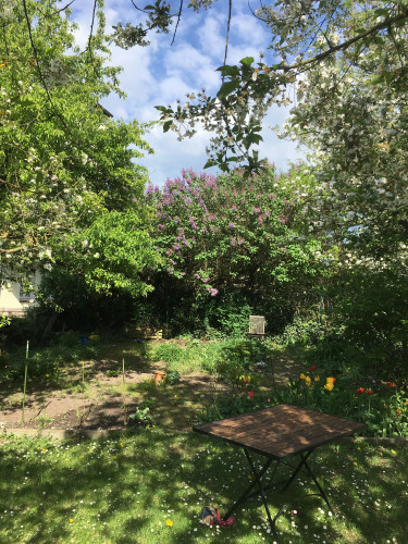 Your Start in Schwerin, charming living: Stylish Farmhouse in Feldstadt - Gallery - 3