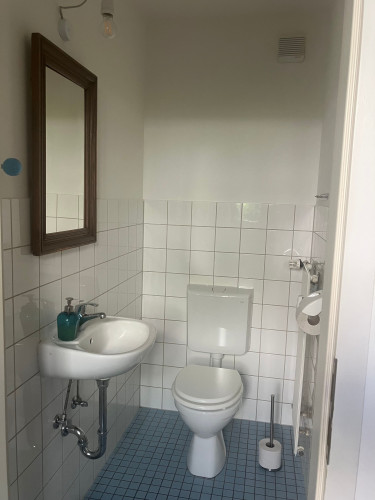 Your Start in Schwerin, charming living: Stylish Farmhouse in Feldstadt - Gallery - 15