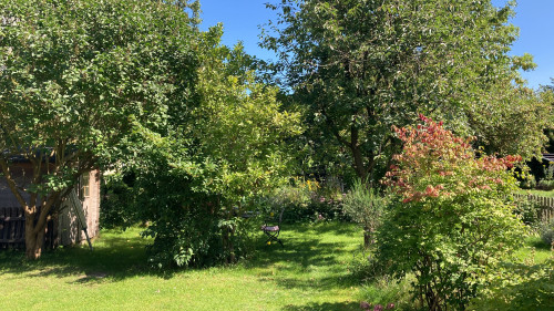 Your Start in Schwerin, charming living: Stylish Farmhouse in Feldstadt - Gallery - 4