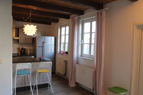 Your Start in Schwerin, charming living: Stylish Farmhouse in Feldstadt - Gallery - 13