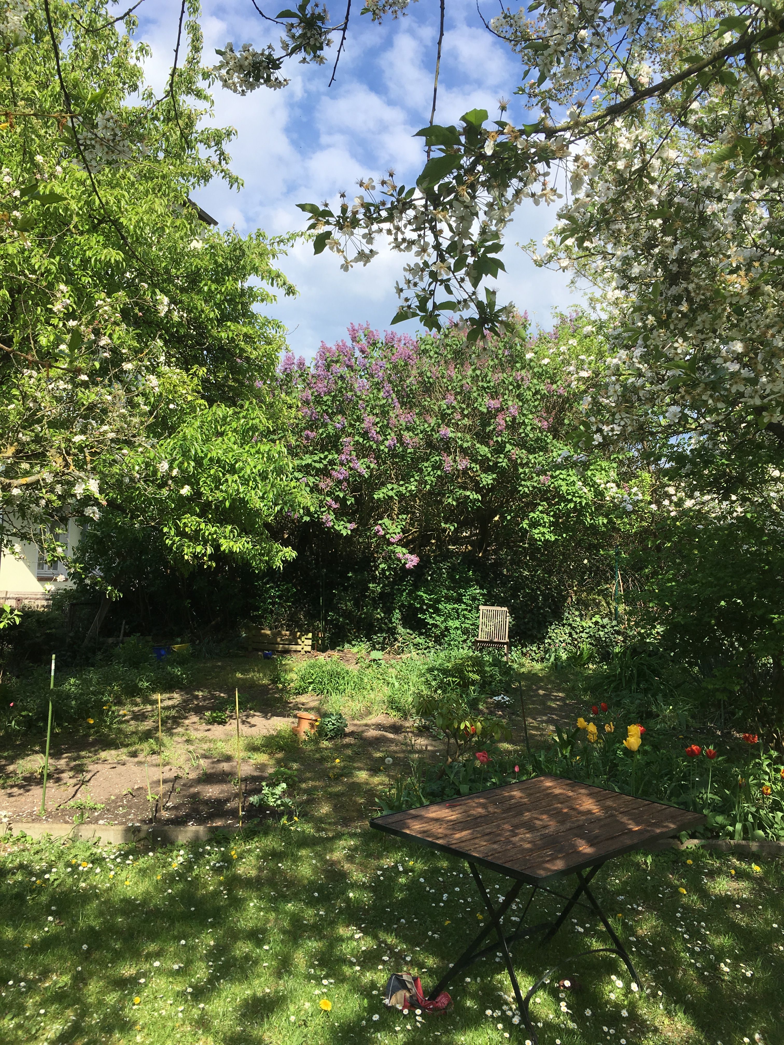 Your Start In Schwerin, Charming Living: Stylish Farmhouse In Feldstadt - 2